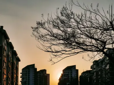 Casino Craze Play Application mobile